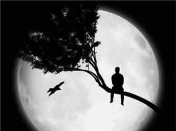 سَر میروم شبی باز از حوالی ات...