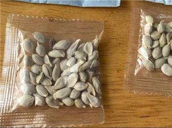 آمازون فروش دانه‌های اسرارآمیز را در آمریکا متوقف کرد