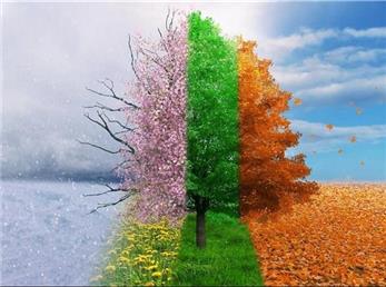 متولدین کدام فصل عمر طولانی‌تری دارند؟