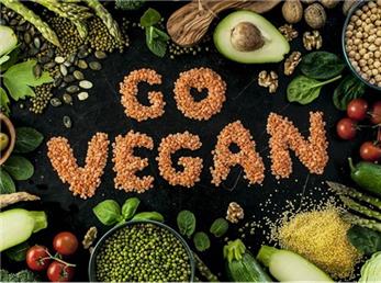 روز جهانی گیاه خواری؛ چطور گیاه خوار شویم؟