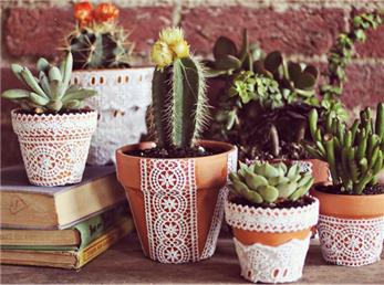 خلاقانه‌ترین ایده‌ها برای تزیین گلدان