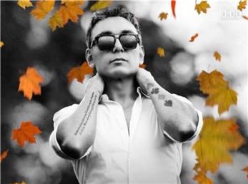 جنجال جدید شادمهر با سایت شرط بندی