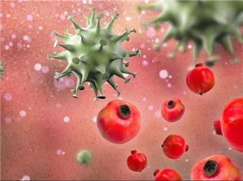 اتفاقاتی که با خوردن روزی یک عدد انار در بدن شما می‌افتد