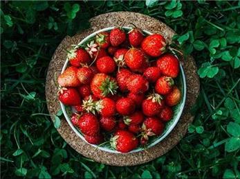 این هفت غذا را برای رفع کم آبی به رژیم‌تان اضافه کنید