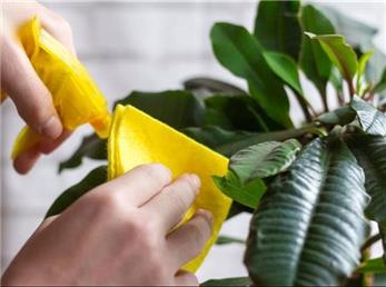 12 اشتباه در خانه داری که شیک‌ترین دکوراسیون را خراب می‌کند