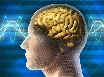 مغز انسان چگونه از خواب عمیق بیدار می شود؟