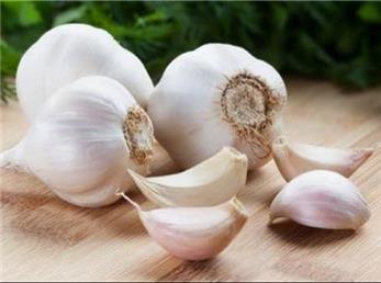 بهترین روش برای نگهداری از سیر!