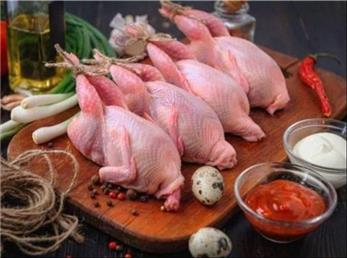 به این دلایل باید گوشت بلدرچین بخورید!