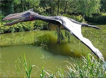 کشف فسیل «اژدهای پرنده» متعلق به ۱۶۰ میلیون سال پیش در صحرای شیلی