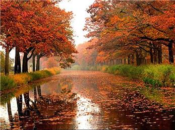 فال ابجد امروز / 15 آبان ماه