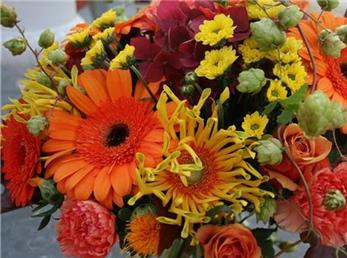 فال ابجد امروز / 17 آبان ماه