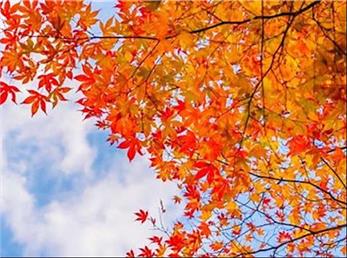 فال ابجد امروز / 18 آبان ماه