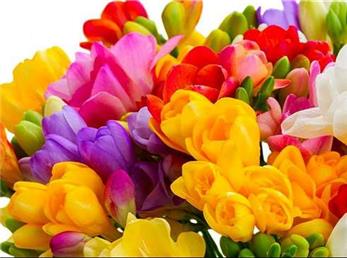 فال ابجد امروز / 19 آبان ماه