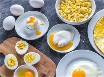 مصرف روزانه تخم مرغ مفید است یا مضر؟