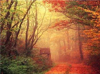 فال ابجد امروز / 21 آبان ماه