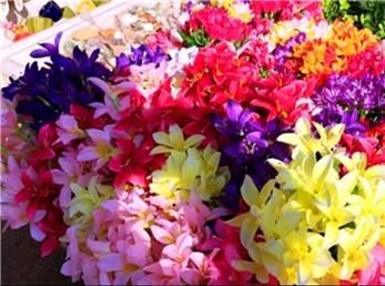 فال ابجد امروز / 22 آبان ماه