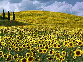 فال ابجد امروز / 23 آبان ماه