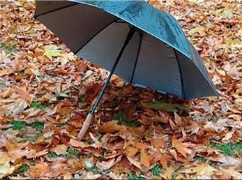 فال ابجد امروز / 24 آبان ماه