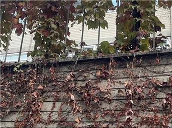 فال ابجد امروز / 27 آبان ماه