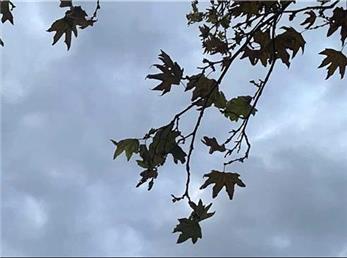 فال ابجد امروز / 30 آبان ماه