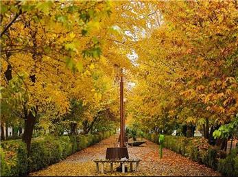 3 آذر ماه؛ فال ابجد امروز