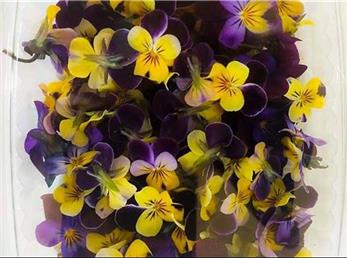 6 آذر ماه؛ فال ابجد امروز