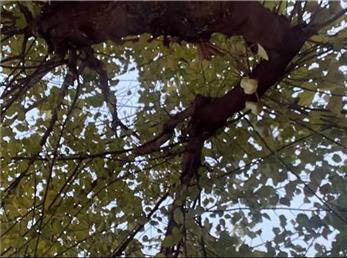 9 آذر ماه؛ فال ابجد امروز