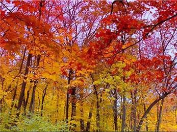 12 آذر ماه؛ فال ابجد امروز