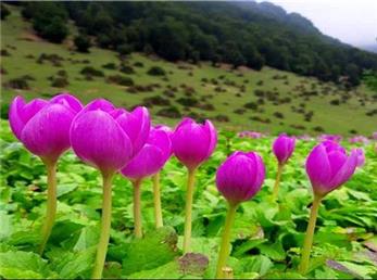 13 آذر ماه؛ فال ابجد امروز