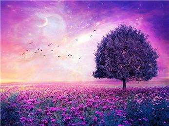 16 آذر ماه؛ فال ابجد امروز