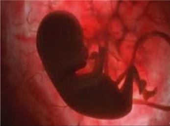 رحم اجاره ای 80 میلیون تومان/ زوج های عرب برای رحم اجاره ای به ایران می آیند