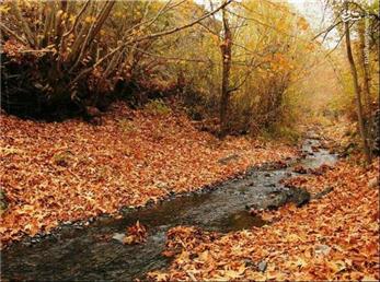 17 آذر ماه؛ فال ابجد امروز