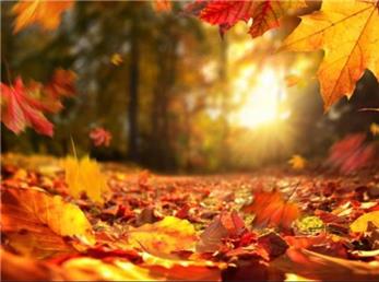 20 آذر ماه؛ فال ابجد امروز