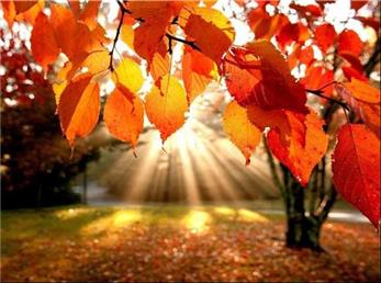 23 آذر ماه؛ فال ابجد امروز