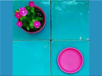 24 آذر ماه؛ فال ابجد امروز