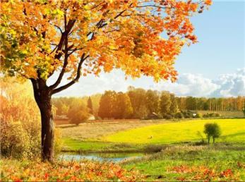 25 آذر ماه؛ فال ابجد امروز