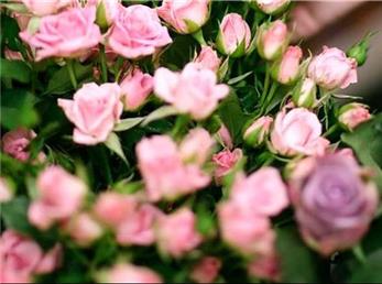 28 آذر ماه؛ فال ابجد امروز