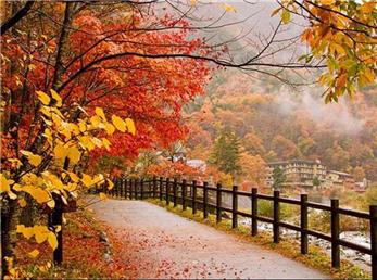 30 آذر ماه؛ فال ابجد امروز