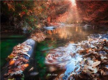 اول دی ماه؛ فال ابجد امروز