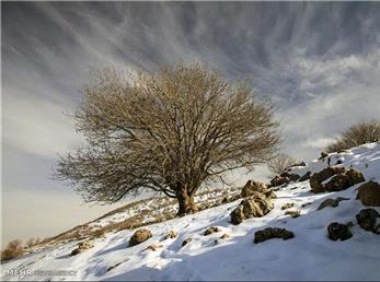 3 دی ماه؛ فال ابجد امروز