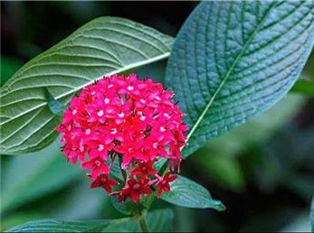 4 دی ماه؛ فال ابجد امروز