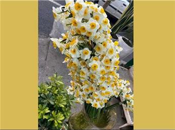 فال حافظ امروز / 8 دی ماه با تفسیر دقیق