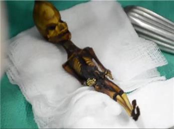 راز اسکلت مرموز فاش شد + تصاویر