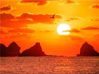 11 دی ماه؛ فال ابجد امروز