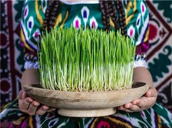 بهترین زمان برای کاشت سبزه عید نوروز با انواع دانه