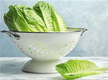 بهترین ترفند تازه نگه داشتن کاهو در یخچال