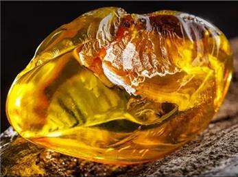 سنگ کهربا: گنجینه‌ای از دل طبیعت با خواص شگفت‌انگیز