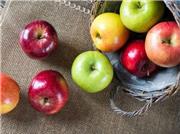 اگر جزو این افراد هستید هرگز سیب ترش نخورید / خواص سیب زرد یا سیب قرمز و تفاوت‌های آنها