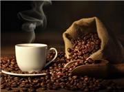 قهوه‌خورها کمتر دچار مرگ زودهنگام ‌می‌شوند