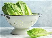 بهترین ترفند تازه نگه داشتن کاهو در یخچال